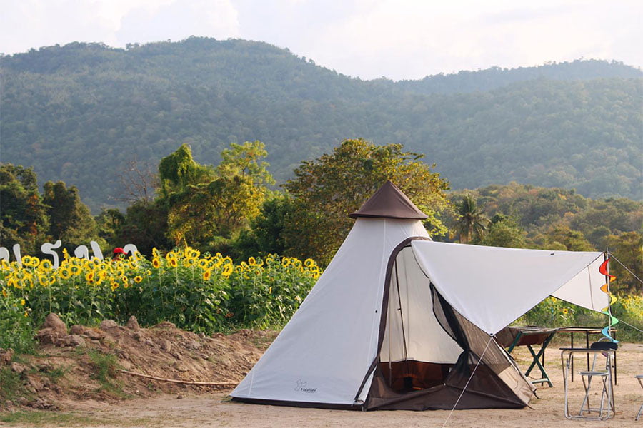 ทุ่งดอกไม้ใกล้กรุง