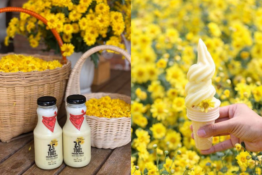 สวนดอกไม้ใกล้กรุง