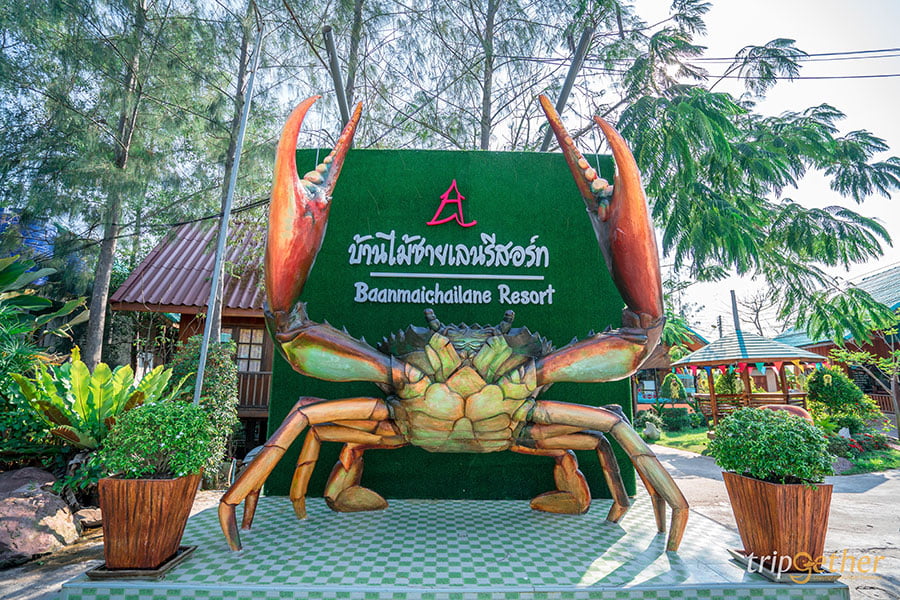 ร้านอาหารคลองโคน