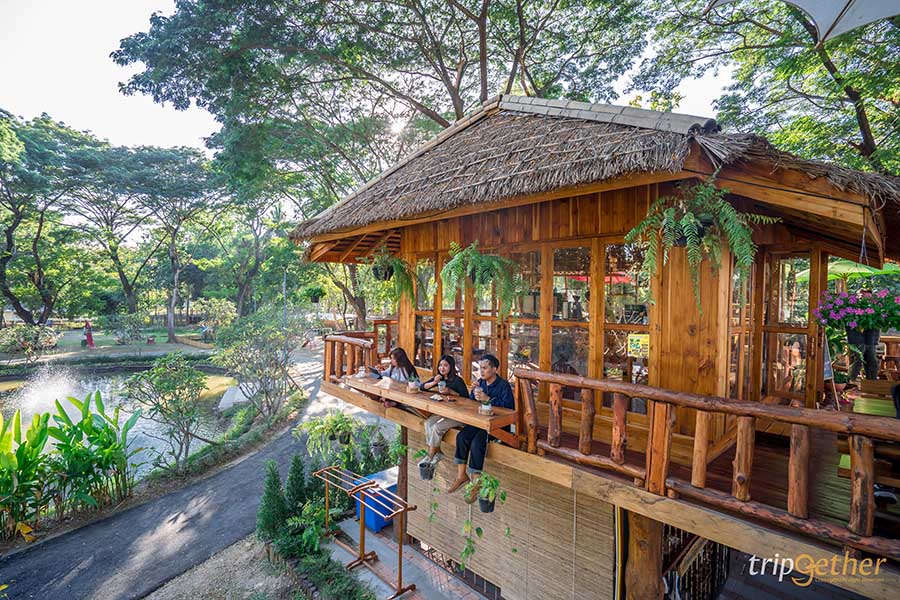 แดนกระทิง