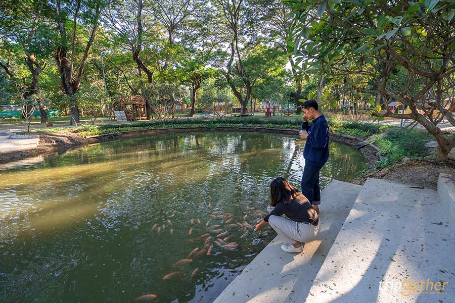 คาเฟ่กลางสวนลำปาง