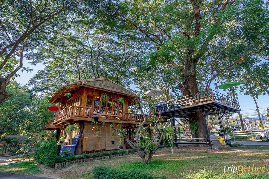 คาเฟ่ลำปางกลางธรรมชาติ