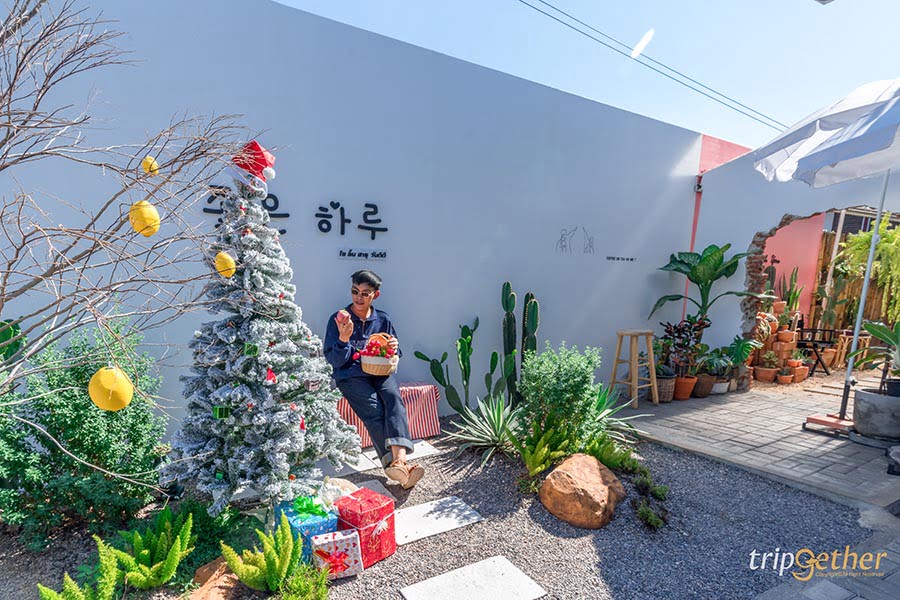 คาเฟ่ลำปางสไตล์เกาหลี