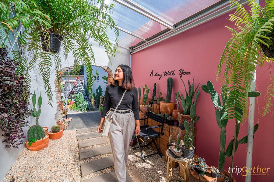 คาเฟ่ชิคๆ