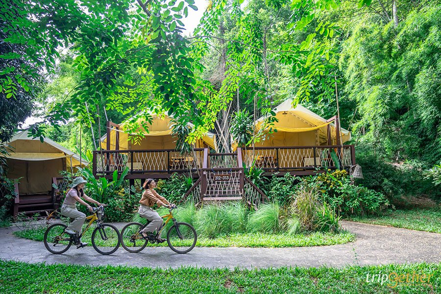 แคมป์ปิ้งหรู