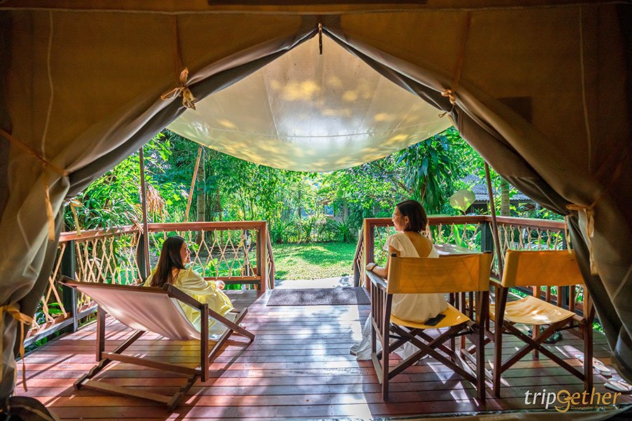 แคมป์ปิ้งหรู