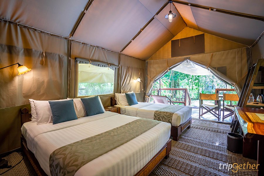 แคมป์ปิ้งหรู