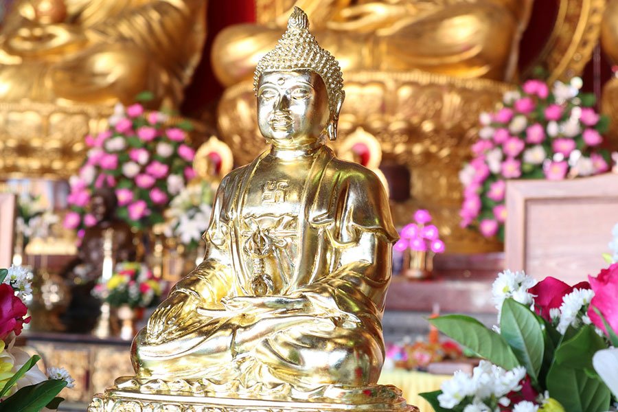 แก้ชง 2564