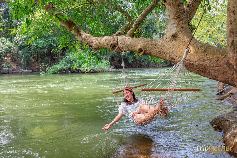 แคมป์ปิ้ง