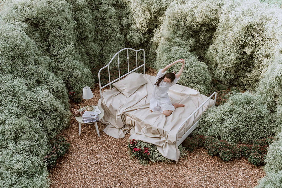 สวนดอกไม้