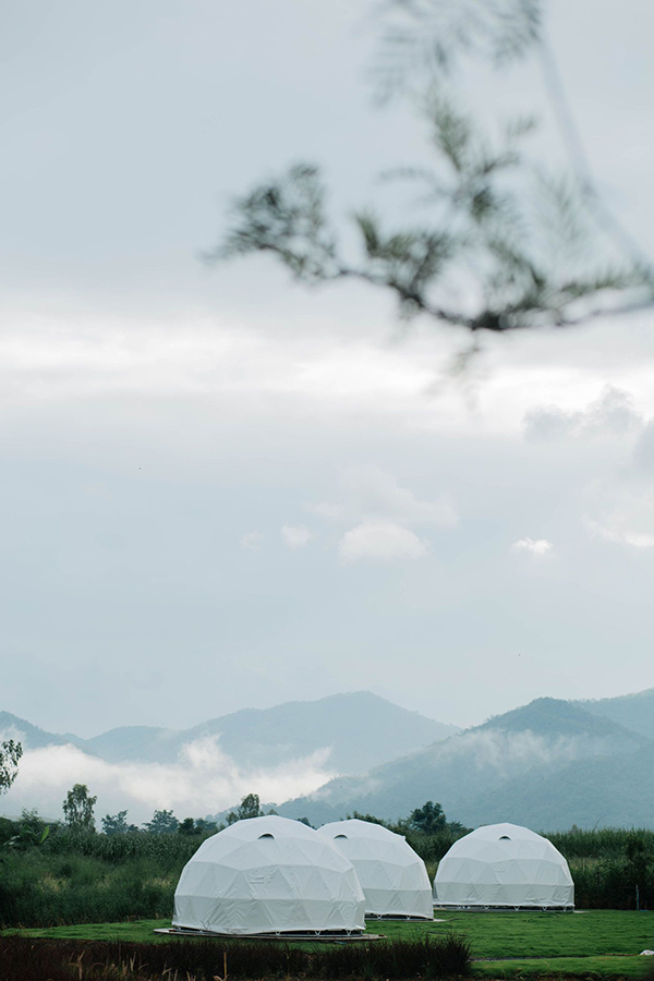 ปาท่องโก๋ แคมป์ปิ้ง