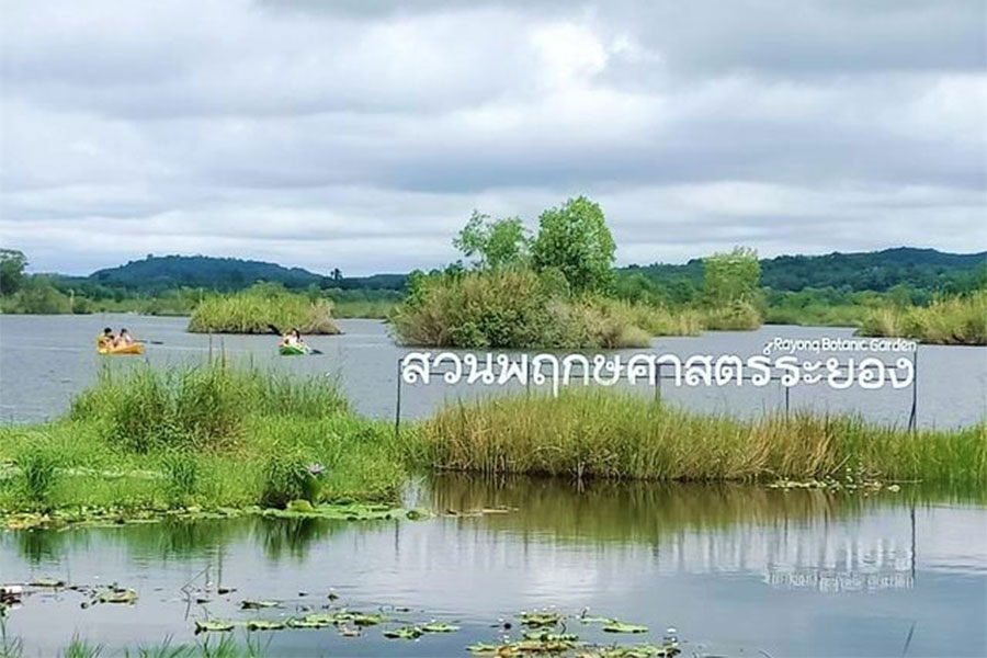 ที่เที่ยวระยอง