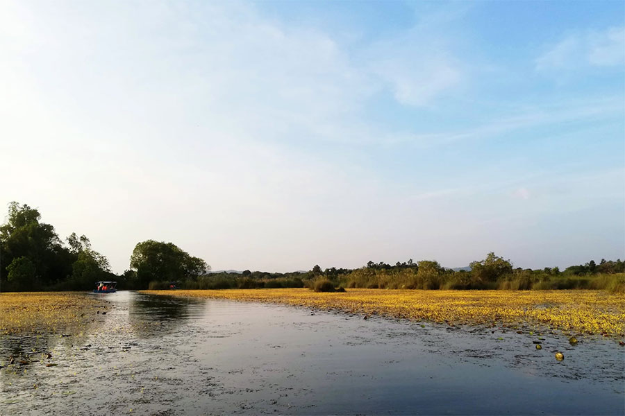 ที่เที่ยวระยอง