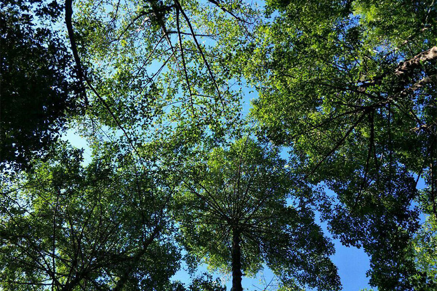 ที่เที่ยวระยอง