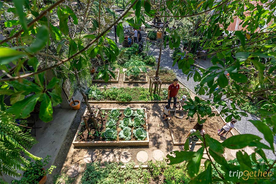 อัปเดต 8 ที่เที่ยวปทุมธานี ตามไปเก็บให้ครบทุกจุดเช็คอิน!