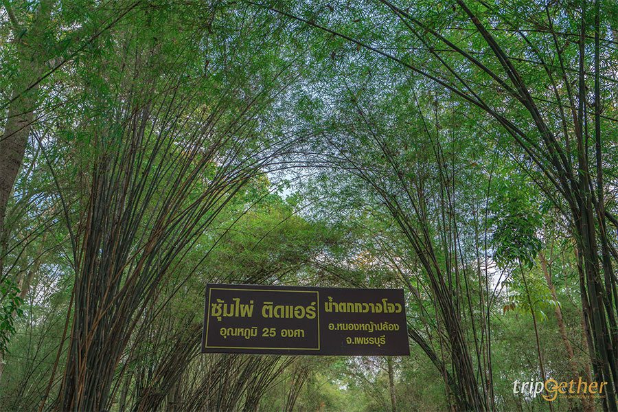 ตลาดน้ำใกล้กรุง