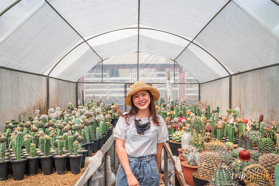 อัปเดต 8 ที่เที่ยวปทุมธานี ตามไปเก็บให้ครบทุกจุดเช็คอิน!