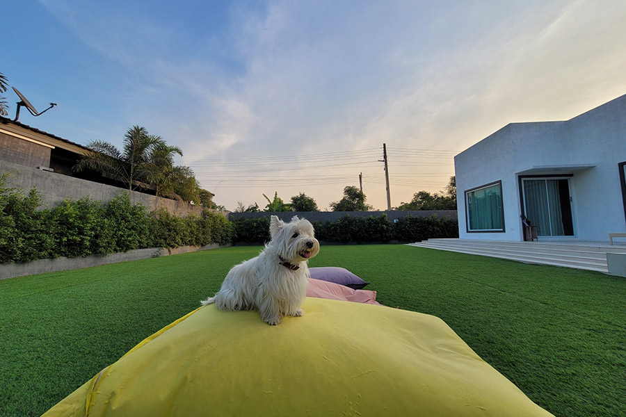 ที่พักชะอำหมาพักได้