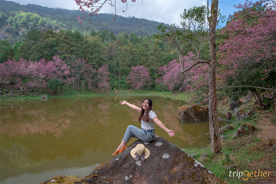 จุดเช็คอินนางพญาเสือโคร่ง