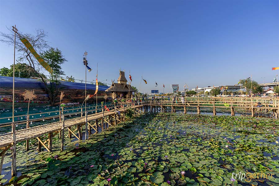 อัปเดต 8 ที่เที่ยวปทุมธานี ตามไปเก็บให้ครบทุกจุดเช็คอิน!