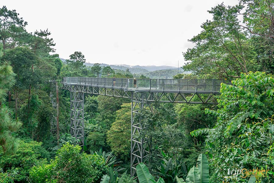 สกายวอล์คเมืองไทย