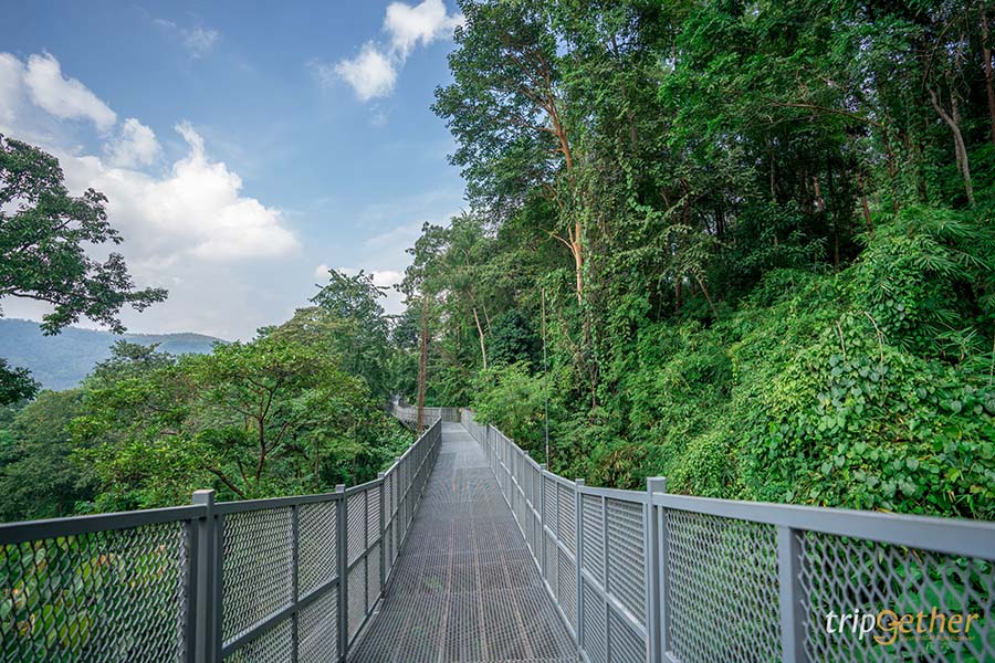 สกายวอล์คเมืองไทย