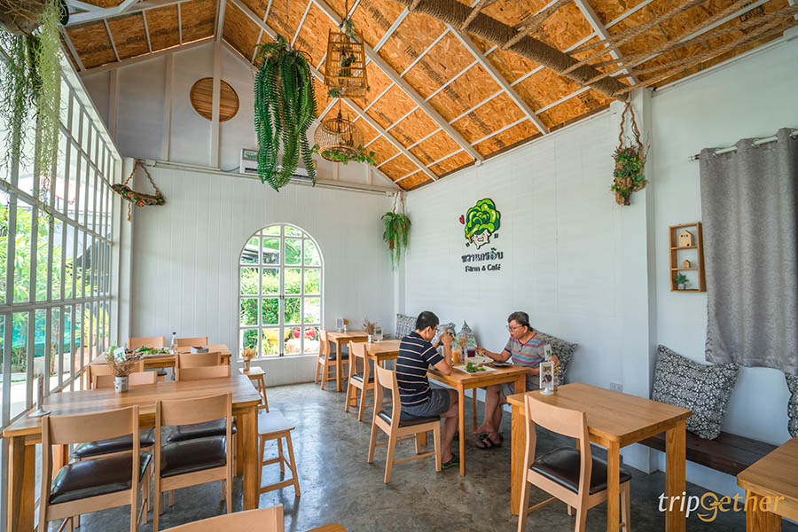 10 ร้านอาหาร คาเฟ่ พุทธมณฑล บรรยากาศชิลล์ แถมอร่อยด้วย