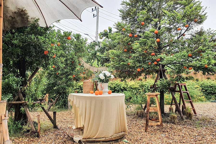 5 คาเฟ่นครปฐมฟีลลิ่งเชียงใหม่ ไม่ต้องไปไกล ใกล้กรุงก็มี!