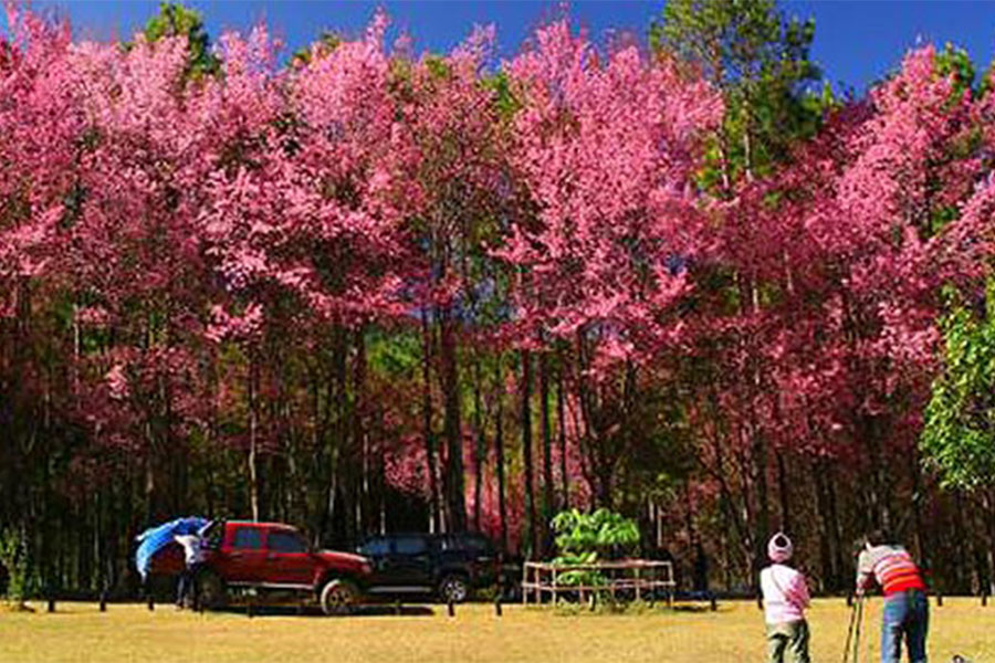 ที่เที่ยวภาคเหนือ