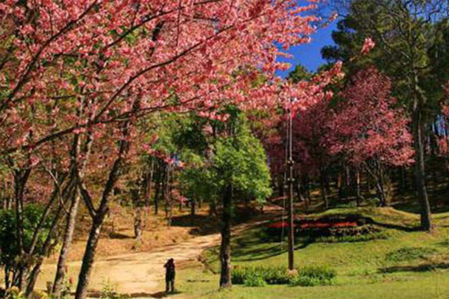 ที่เที่ยวภาคเหนือ