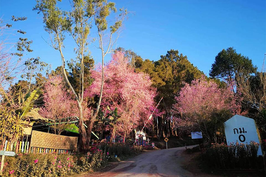 ที่เที่ยวภาคเหนือ