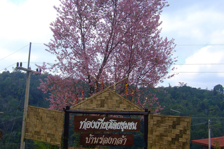 ที่เที่ยวภาคเหนือ