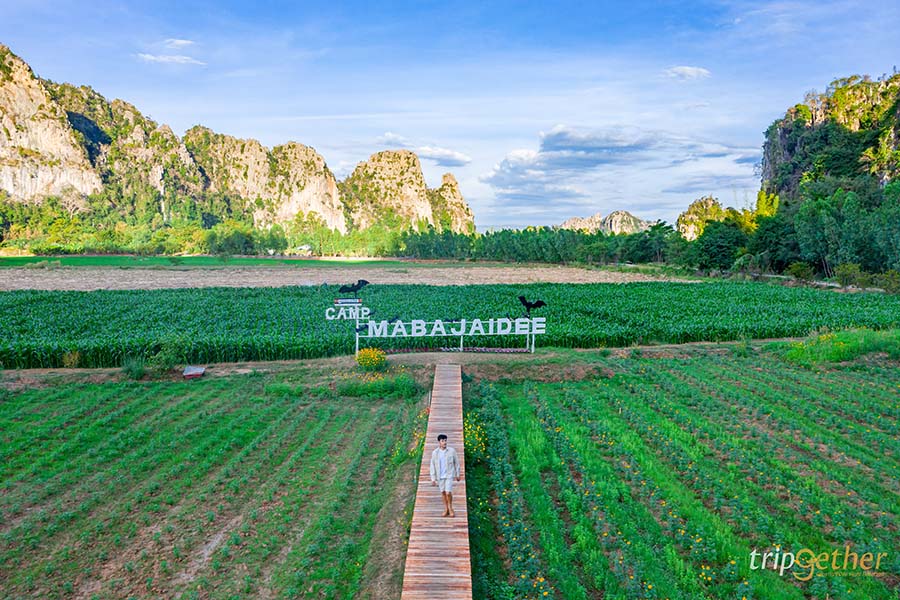 ที่พักบ้านมุง