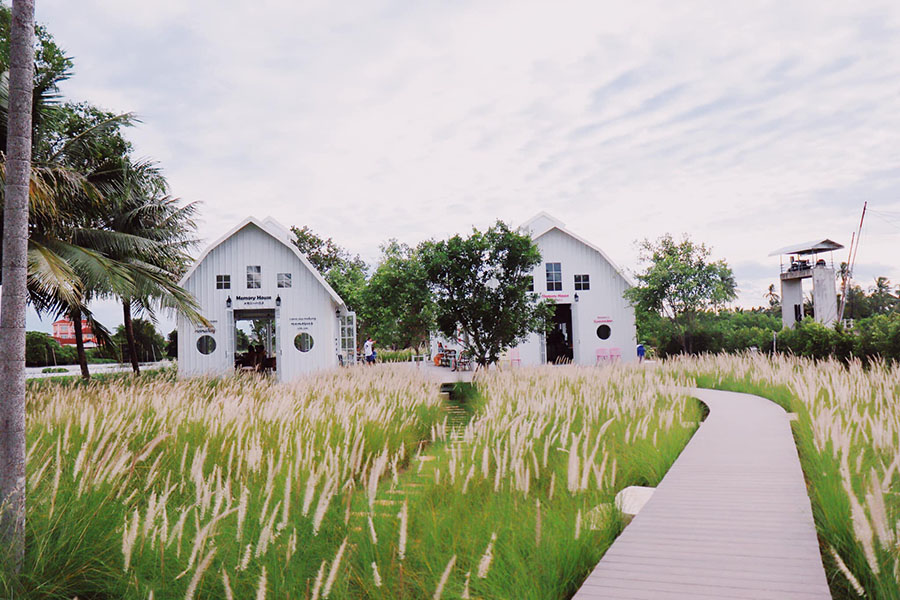 5 คาเฟ่นครปฐมฟีลลิ่งเชียงใหม่ ไม่ต้องไปไกล ใกล้กรุงก็มี!