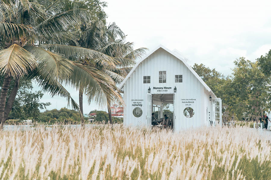 5 คาเฟ่นครปฐมฟีลลิ่งเชียงใหม่ ไม่ต้องไปไกล ใกล้กรุงก็มี!