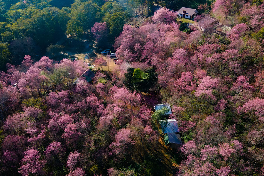 จุดเช็คอินภาคเหนือ