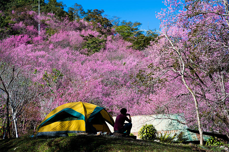 จุดเช็คอินภาคเหนือ