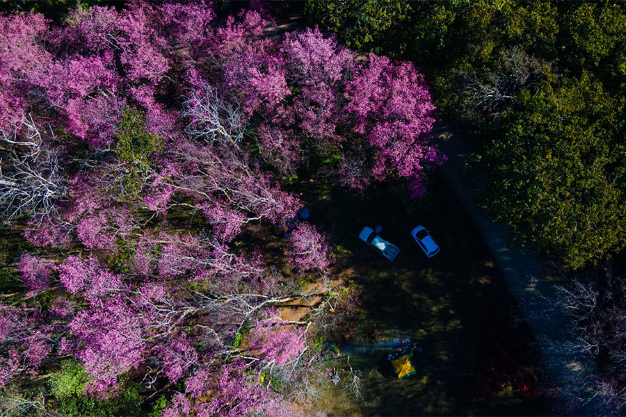 จุดเช็คอินภาคเหนือ