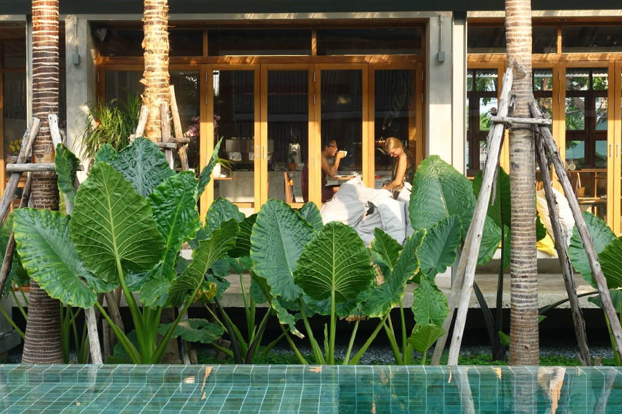 10 ร้านอาหาร คาเฟ่ พุทธมณฑล บรรยากาศชิลล์ แถมอร่อยด้วย