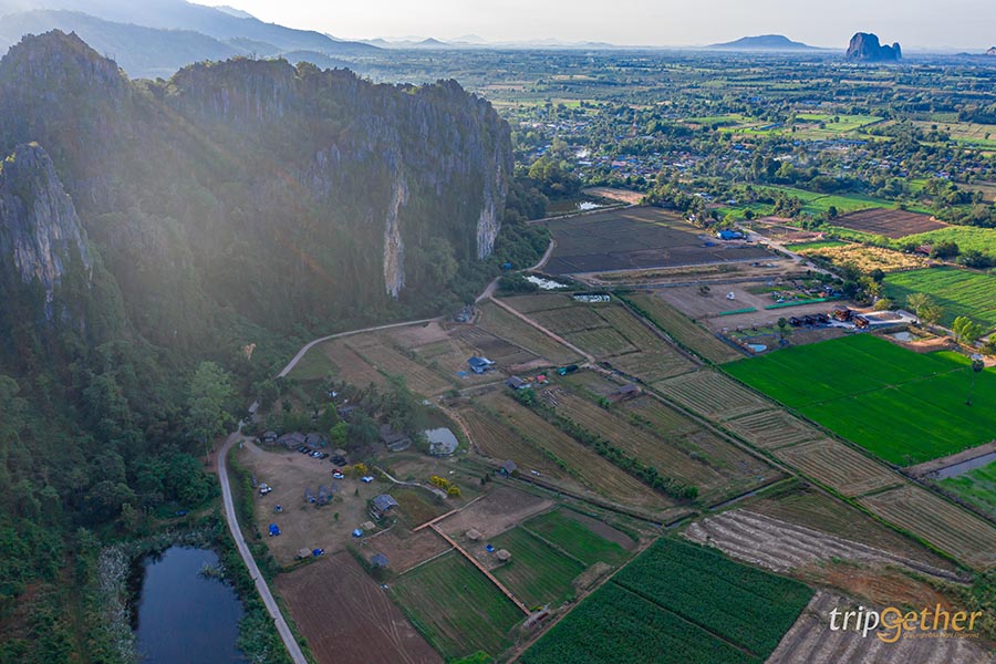 แคมป์หมาบ้าใจดี