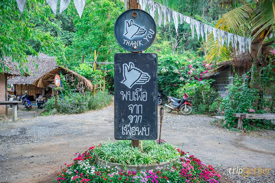 ลานกางเต็นท์