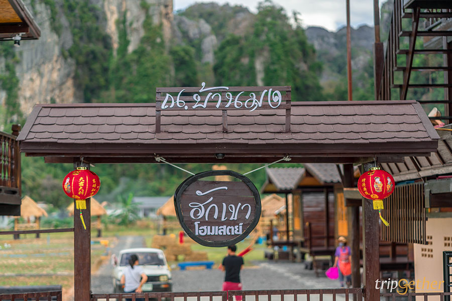 คาเฟ่เปิดใหม่