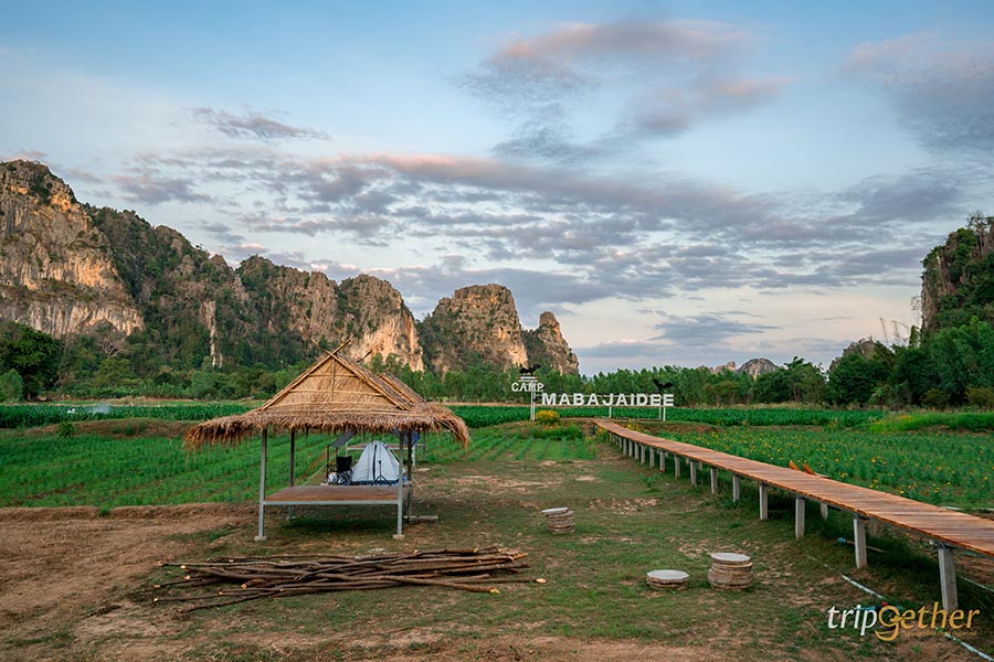 ลานกางเต็นท์เนินมะปราง