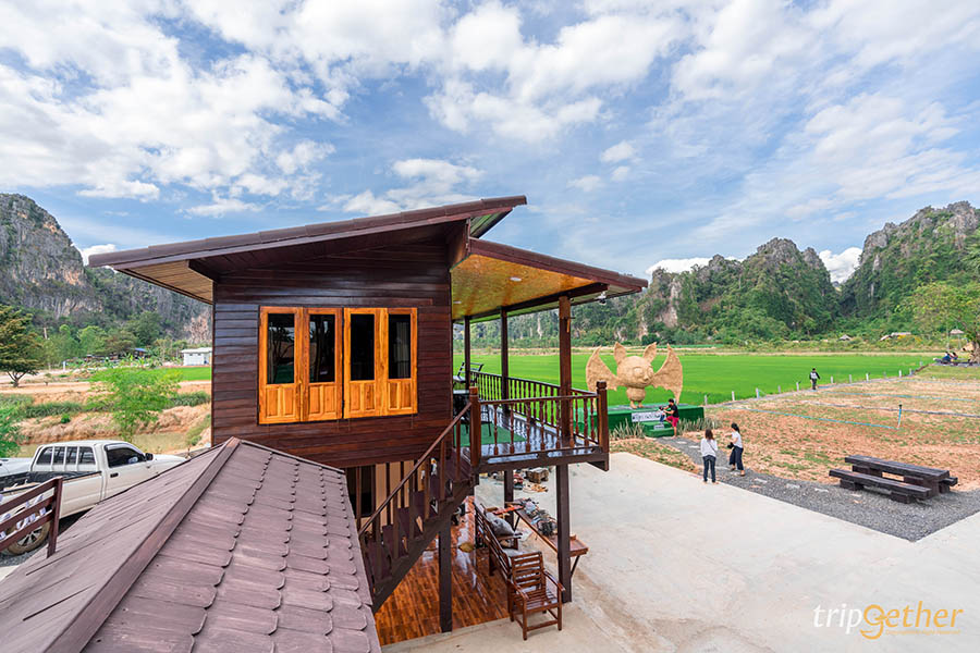 ร้านเปิดใหม่