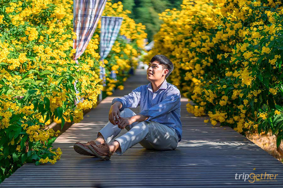 ไร่ดอกทองอุไร