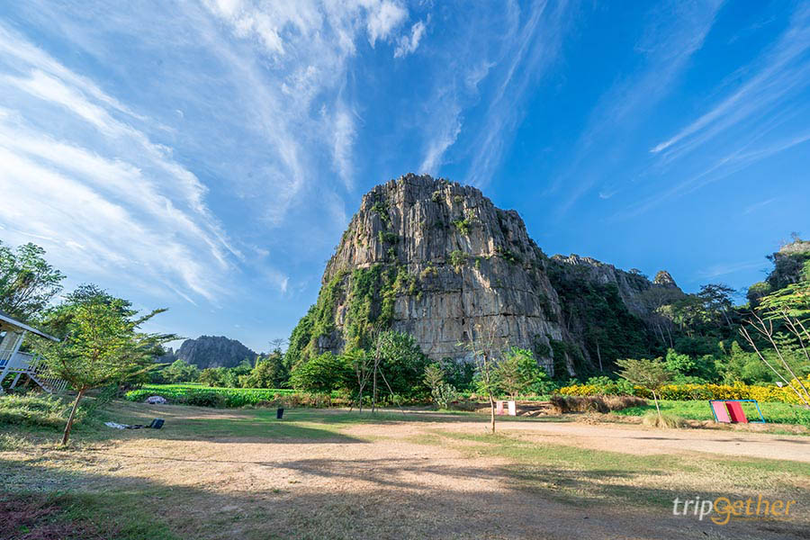 ดอกทองอุไรบ้านมุง