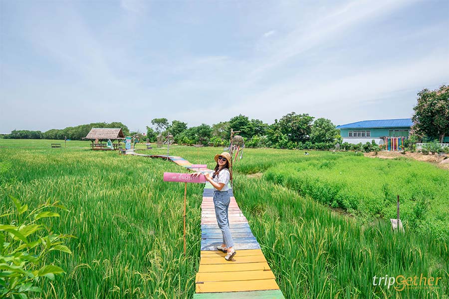 อัปเดต 8 ที่เที่ยวปทุมธานี ตามไปเก็บให้ครบทุกจุดเช็คอิน!