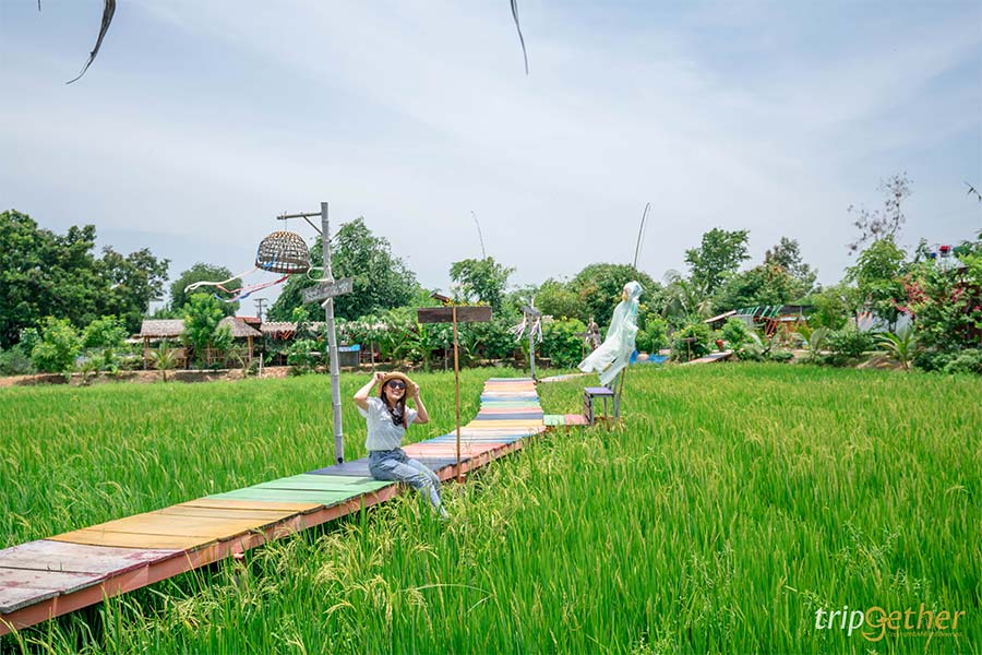 อัปเดต 8 ที่เที่ยวปทุมธานี ตามไปเก็บให้ครบทุกจุดเช็คอิน!