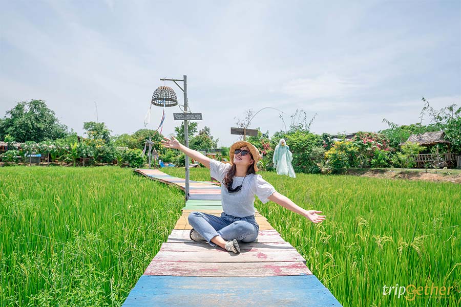 อัปเดต 8 ที่เที่ยวปทุมธานี ตามไปเก็บให้ครบทุกจุดเช็คอิน!