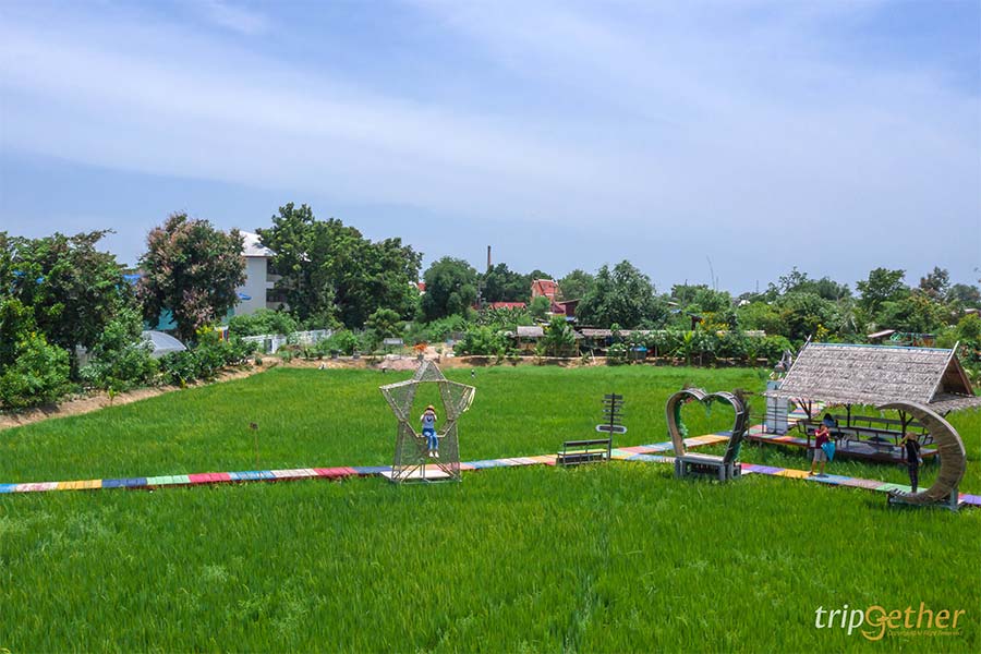 อัปเดต 8 ที่เที่ยวปทุมธานี ตามไปเก็บให้ครบทุกจุดเช็คอิน!